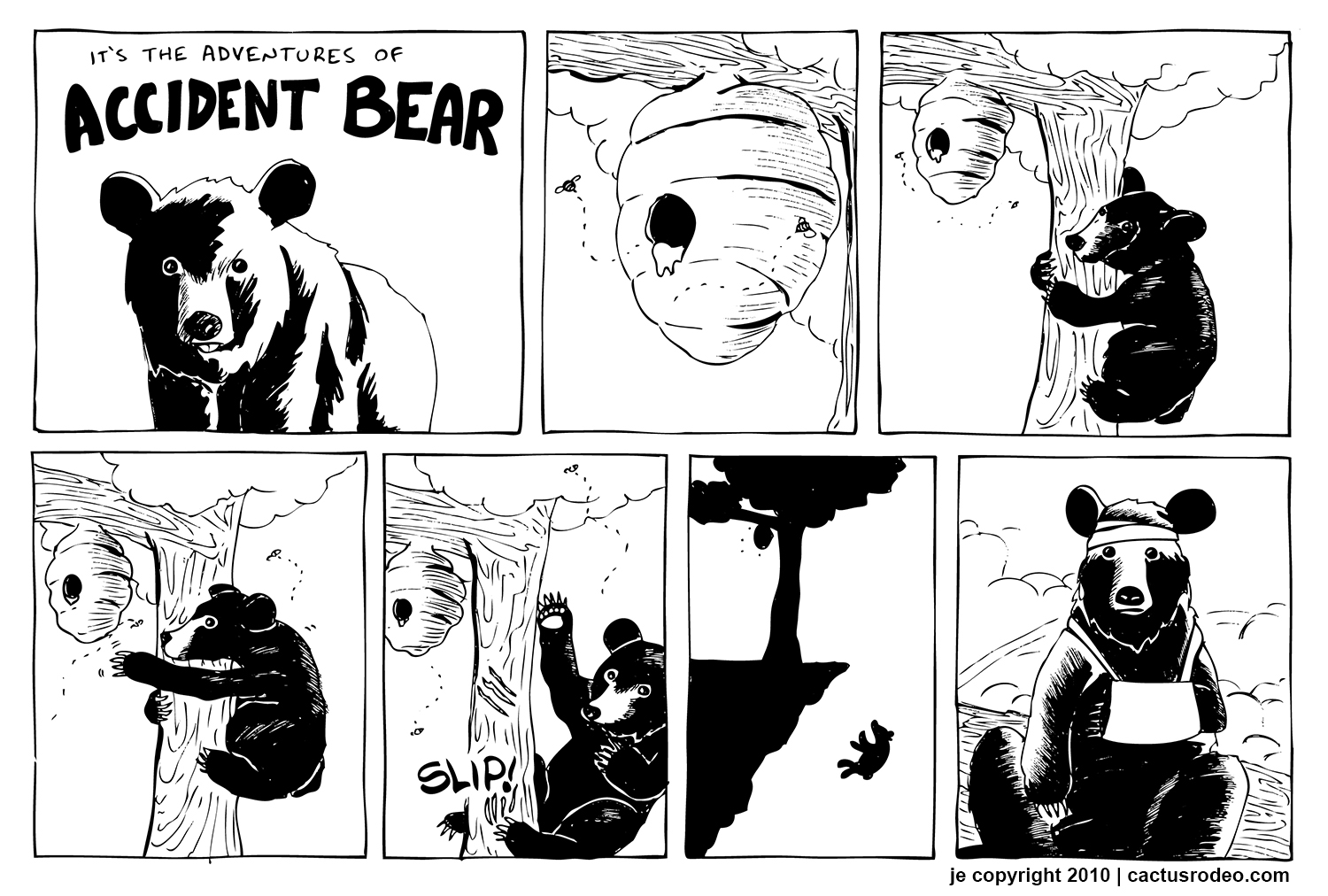 Accident Bear