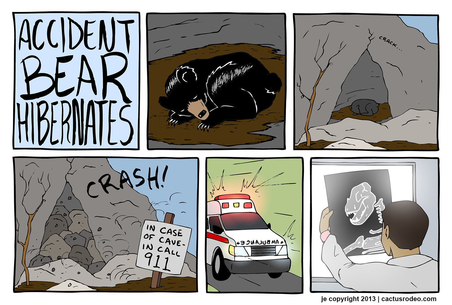 Accident Bear Hibernates